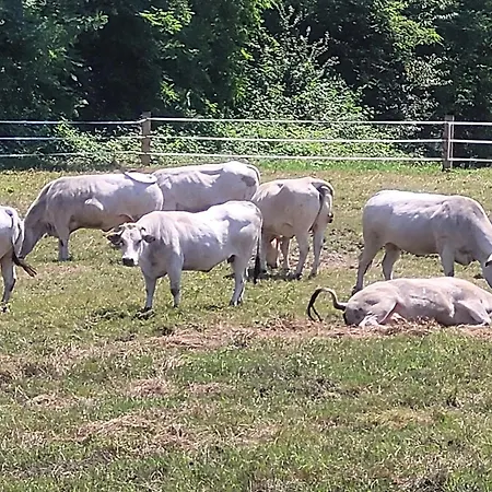 Farm stay La Fornace Centro Ippico *